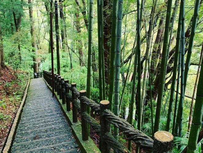 Iya Kankou Ryokan Hotell Miyoshi  Eksteriør bilde